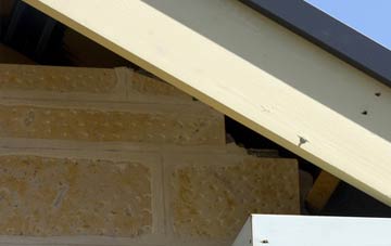 soffit repair Raholp